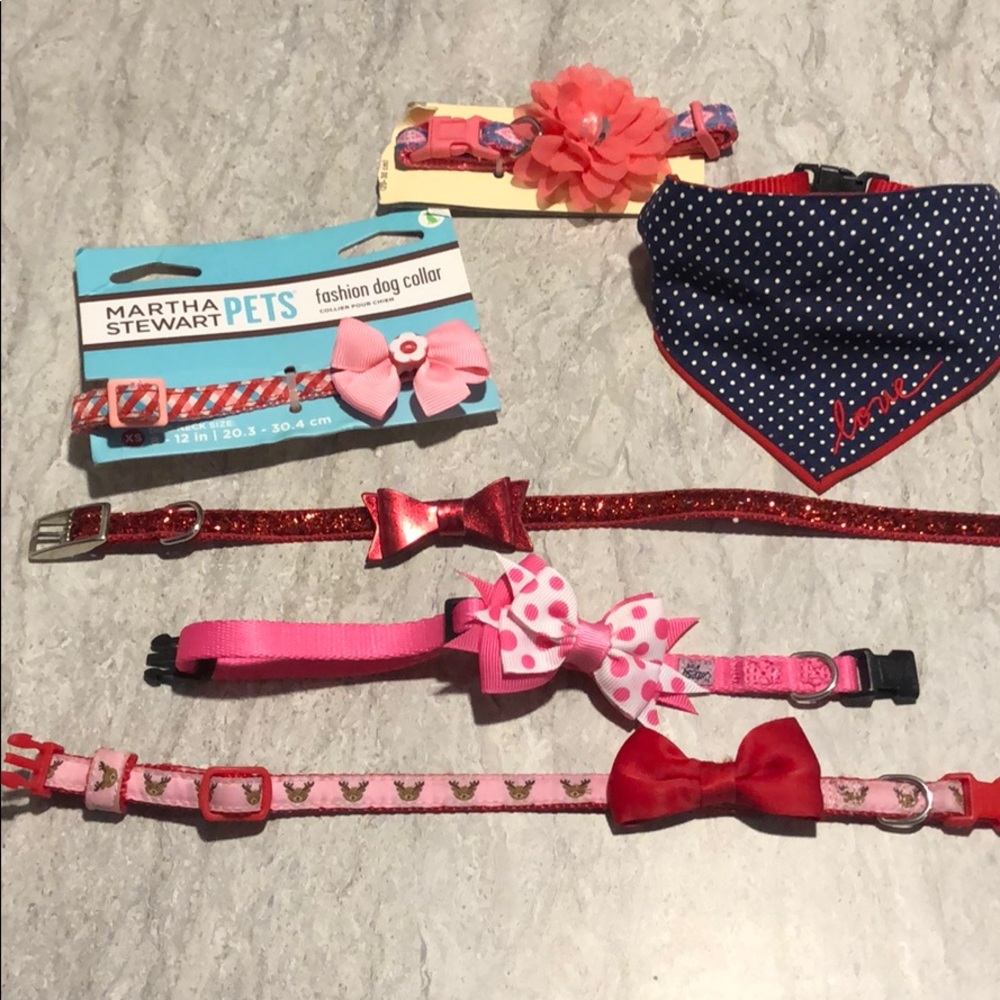 XS dog collars